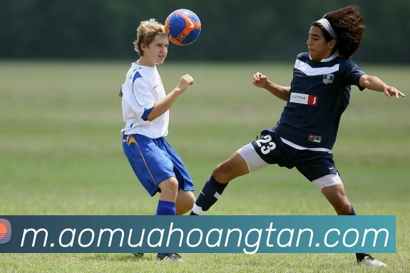互动解说服务